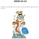 공부하면서 궁금했던 삼국시대 문화 파트