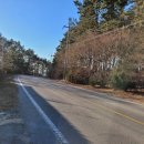 솔향기 힐링 하우스 이미지