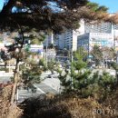 불곡사  사거리 이미지