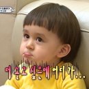 부산 김해공항 근처 호텔 부산 에어포트 호텔 스탠다드더블룸 프리미엄 트윈룸 후기 (내돈내산)