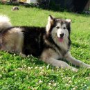 럭키농장 이미지