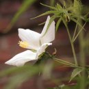 길목가든 이미지