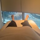 여리한다이어트 이미지
