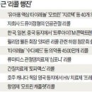 식약처, 발암물질 인체 유입 알고도 묵인 이미지