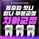 화이트치과기공소 이미지
