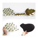 자연과학유치원 이미지