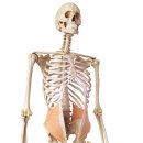 우송대학교 보건복지대학원 이미지