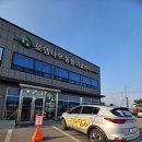 로뎀나무 동물의료센터 네이버블로그