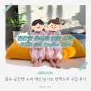 공간엔늘 | 좁은 공간엔 소파 대신 요기보, 빈백소파 구입 후기