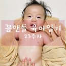 동탄대로시범길R | 꼼앤돌 주니어 육아일기 23주차 - (아빠 육아일기 , 라떼파파 육아휴직, 아들 관찰일기)