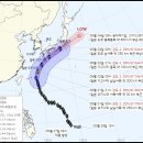 장미(태풍) 이미지