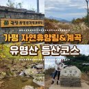 유명산 농부들 | 가평 유명산 등산코스 1에서 7까지ㅣ자연휴양림이랑 계곡 다 보고 온 이야기