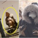 예송미디어