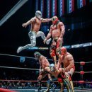 루차리브레 이미지