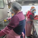 두송(두송복지관) 이미지