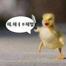 대전일본가정식맛집 - 해마의 방 내돈내산후기