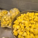 덕촌농장 이미지