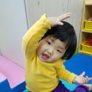 재유주