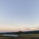 숲휴게소