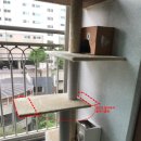 캣토리아 이미지