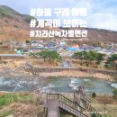 지리산녹차별펜션 이미지