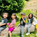 루소의숲유치원 이미지