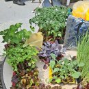 물금엔젤어린이집 이미지