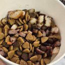 충주씨유뉴터미널점 | 켄싱턴리조트 충주 쥐콩이 1살 생일🎂축하해🎉🥳🎊 (충주켄싱턴리조트/내돈내산/리얼후기/쥐콩이❤️)