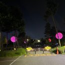 한강집생태 | 김포 운양동 산책코스 | 한강야생조류생태공원 야경 산책 후기 (다이어트 운동 겸 데이트)