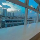 옐레드 애견유치원 애견호텔 하남미사점 | 강동애견유치원, 옐레드 애견유치원&amp;애견호텔 하남미사점에서 제공하는 맞춤형 케어