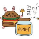 압구정찜질방사우나 이미지