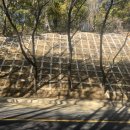 도구머리 이미지