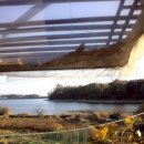 새우대농장 이미지