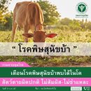 [태국 뉴스] 7월 22일 정치, 경제, 사회, 문화 (업데이트 중) 이미지