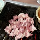 덩어리생고기