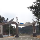 천년학 힐링타운 이미지