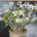 오늘의 선물 이미지