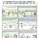 푸른샘 어린이도서관 이미지