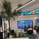 삼막 | [안양/관악역] 아이와 가볼만한곳! 파충류 &amp; 게코 체험 이색카페 '삼막창고' 후기 🦎