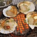 한식 김치요리연구소 가연 | 부산대 낮술 맛집 비교 BEST 5 부산대 술집 추천 낮맥 혼술 가능