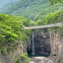 11/10(일)9월개장 국내최장Y출렁다리,배상면주가 산사원,화적연,산정호수 포천여행 이미지