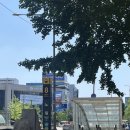굿맘할매순대국 & 양선지해장국 | [공지] [서울/노원]노원역 맛집/노원역국밥 &#39;굿맘할매순대국&amp;양선지해장국&#39;