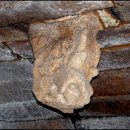 벌교홍교 이미지