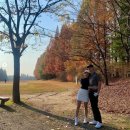 내조의왕 이미지