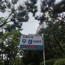 금호5단지 | [부동산 임장] 분당 재건축 아파트 나들이(feat.시범단지우성아파트,양지1단지금호)