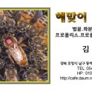 해맞이 벌꿀
