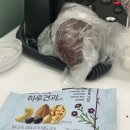 (주)모노다이칩 | 유지어터 | 172cm 54kg 직장인 저체중 대식좌 일주일 식사량 (급찐급빠 식단)