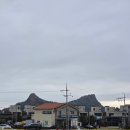 덕수리마을회관 | 4월 제주 여행 산방산 가볼만한곳 덕수아이흑돼지