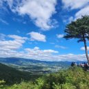 양구 나비야 이미지