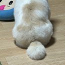 경상여자고등학교 | 너 없이 살 수 없는 걸 다시 내 품에 안겨줘 더는 널 혼자 둘 순 없어